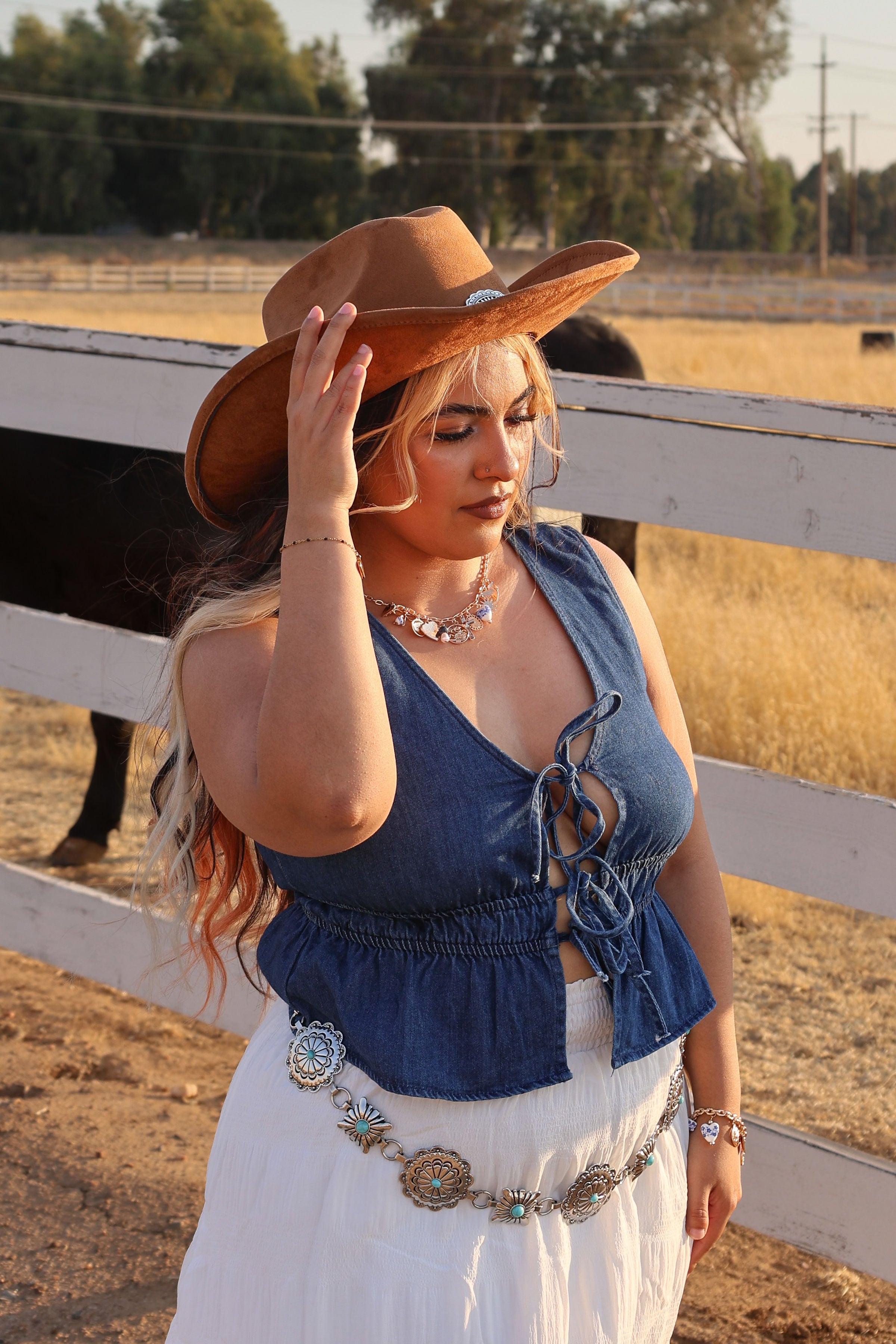 Audrey Ruffle Denim Vest