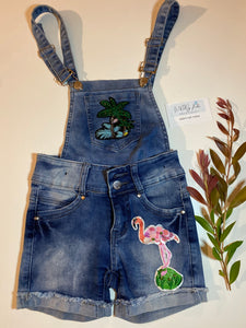 Flamingo 🦩  Overalls