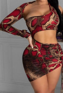 Wild in Snake skirt Swimsuit